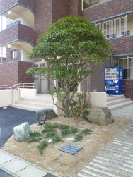 植栽03